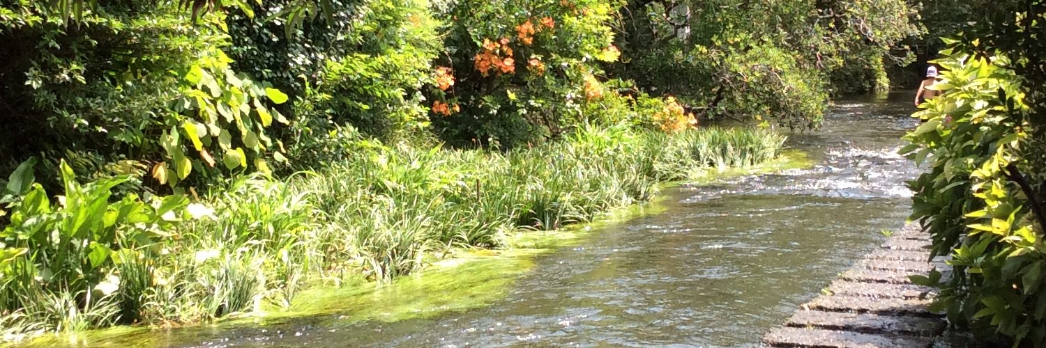 町中を流れる清流 源兵衛川 でゲンジボタルを見ることができます I 不動産 のブログ