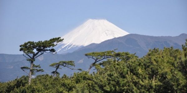 千本からの富士山