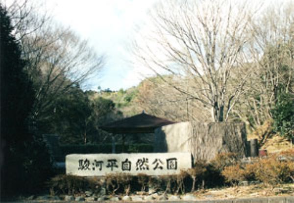 駿河平自然公園