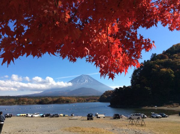 紅葉と精進湖と富士山